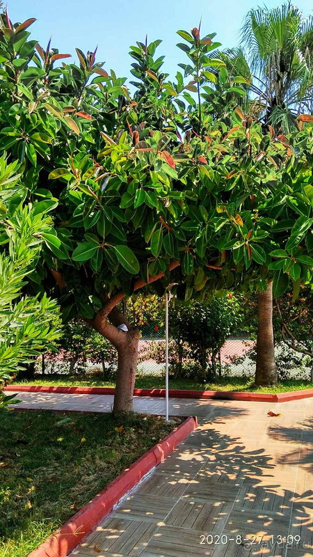 Отпуск в Турции