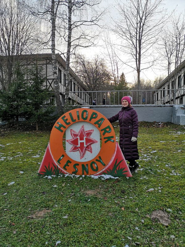 Тихое уютное место посреди леса