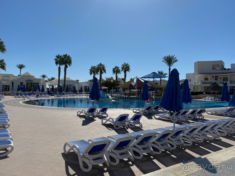 Чудесное место 