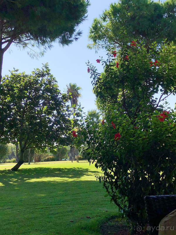 Достойный отель!