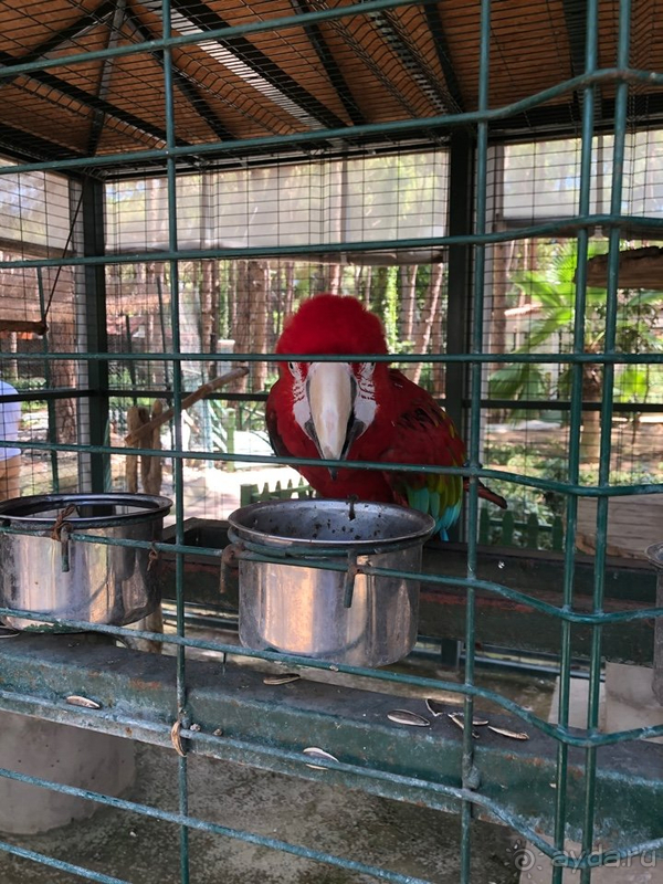 Отель хороший, но есть что исправить.