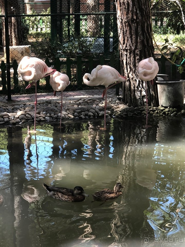 Отель хороший, но есть что исправить.