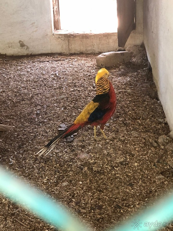 Отель хороший, но есть что исправить.