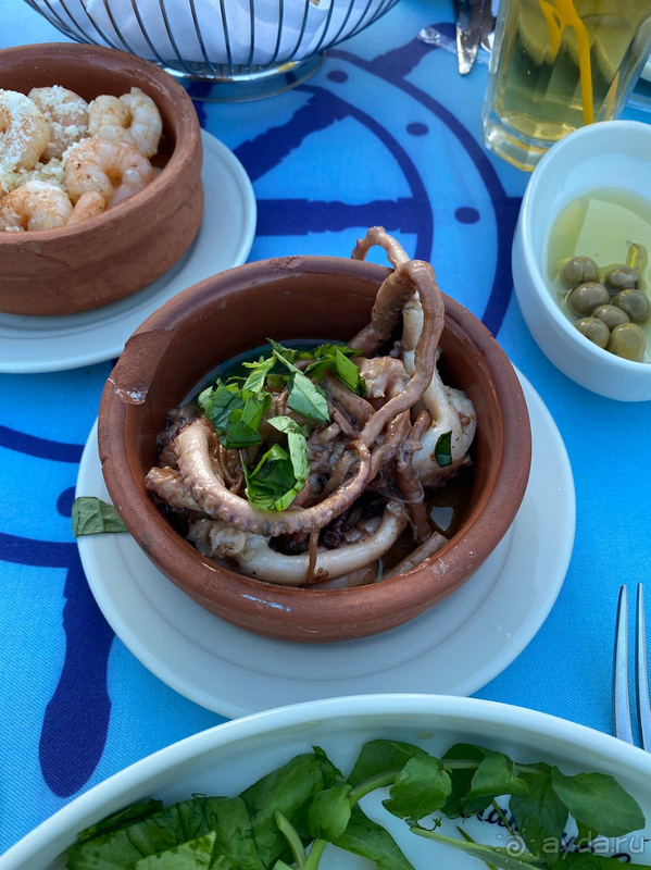 Kamelya Aishen K Club