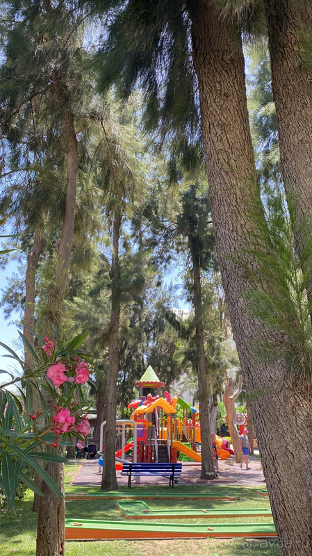 Kamelya Aishen K Club