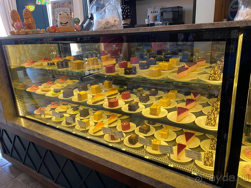 Kamelya Aishen K Club