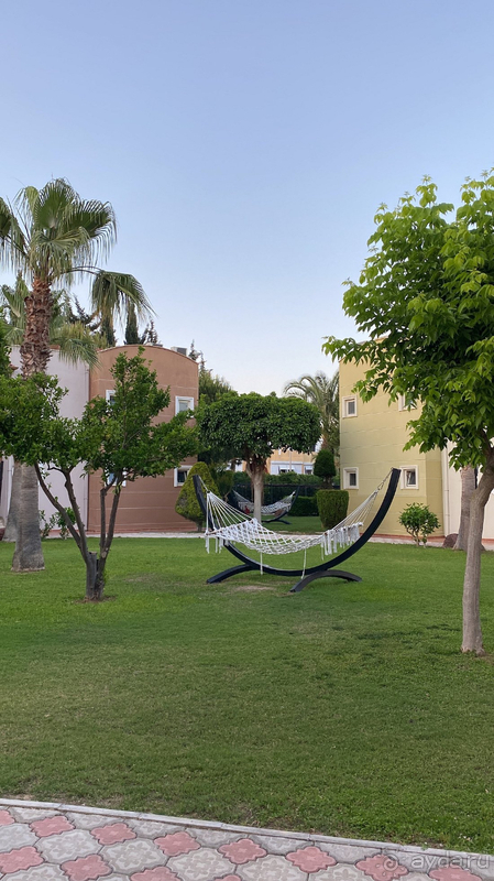 Kamelya Aishen K Club