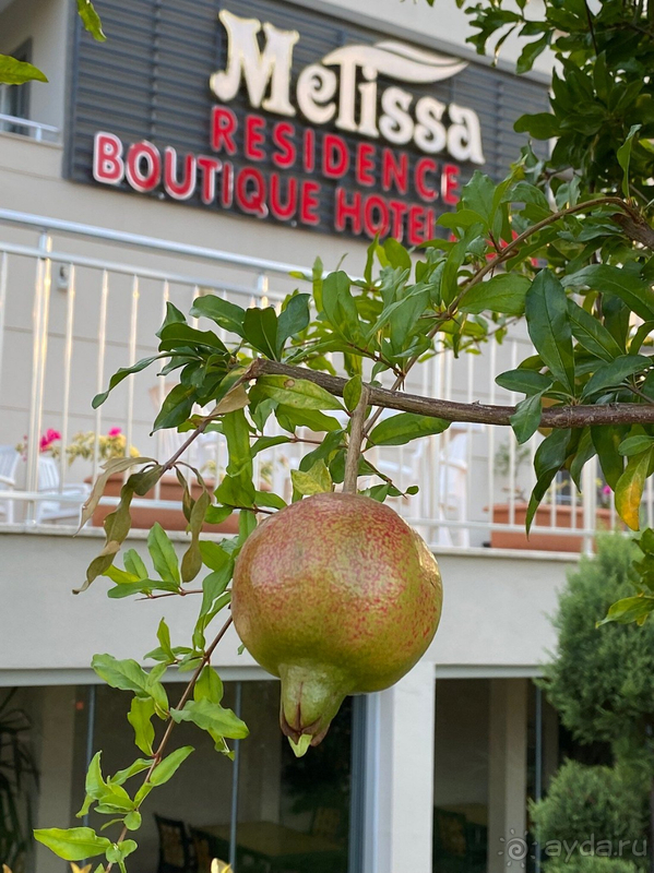 фото Melissa Residence Hotel & SPA