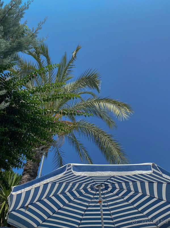 По факту мы остались довольны