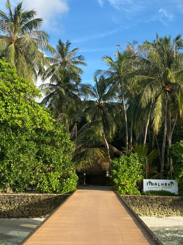 фото Fihalhohi Island Resort
