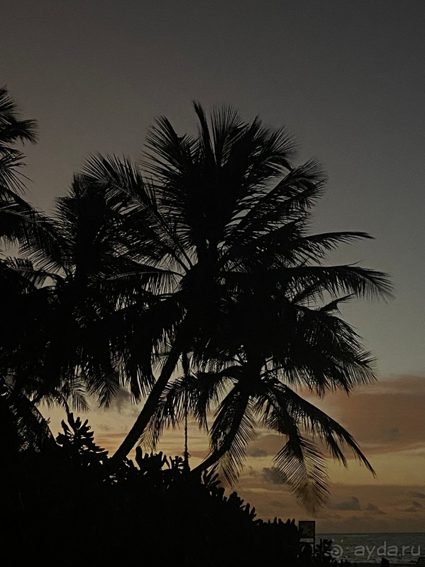 Идеальный отпуск