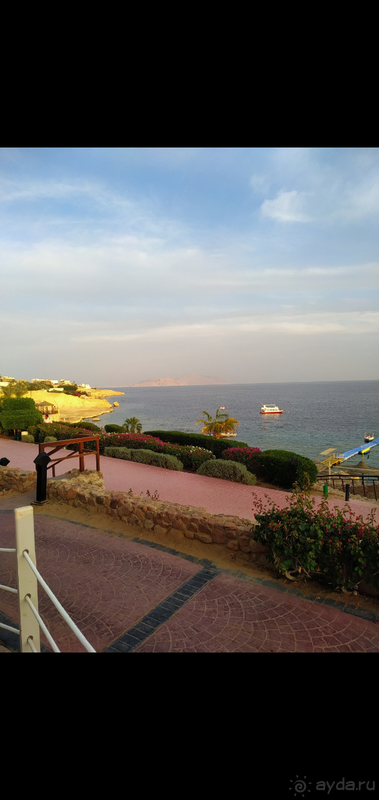 Concorde El Salam Front Area