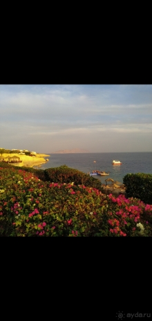 Concorde El Salam Front Area