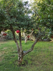 Отель роскошный во всех отношениях