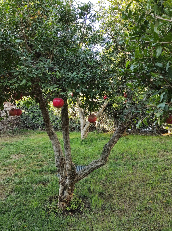 Отель роскошный во всех отношениях