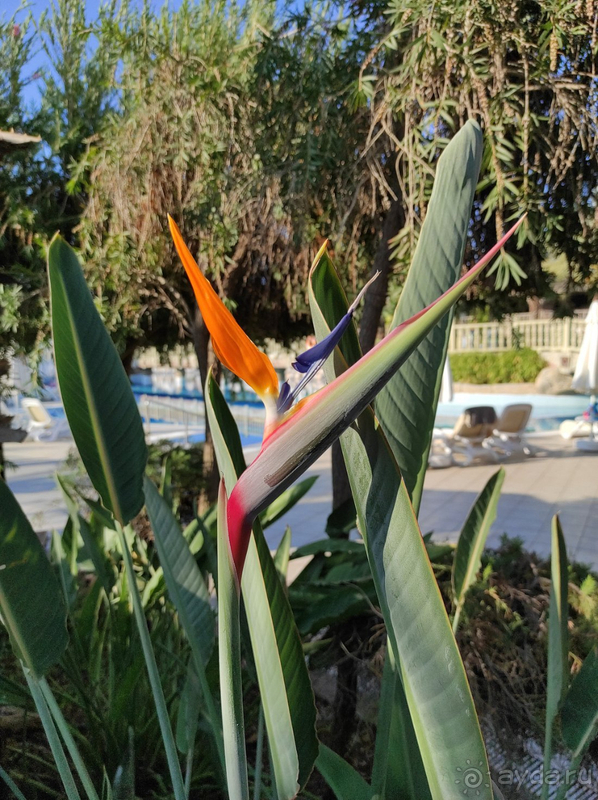 Отель роскошный во всех отношениях