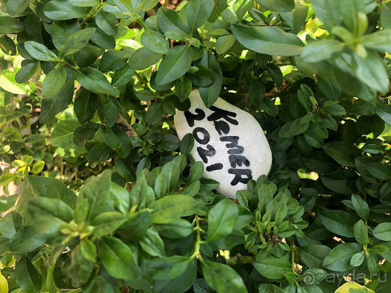 Отелем остались довольны. Приедем сюда снова