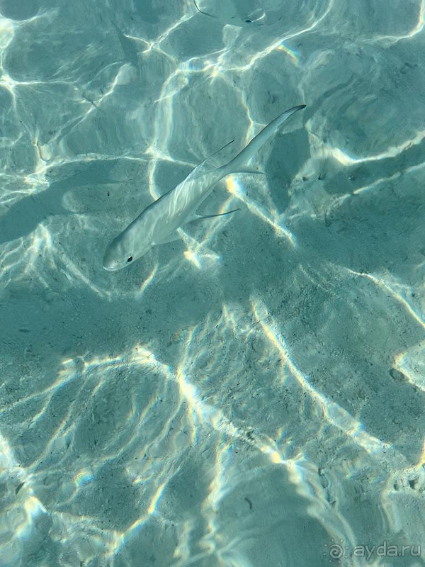 Потрясающий отель