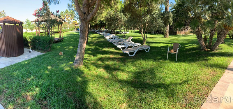 Отдых между волн COVID-19