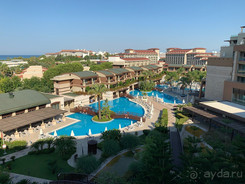 Отдых между волн COVID-19