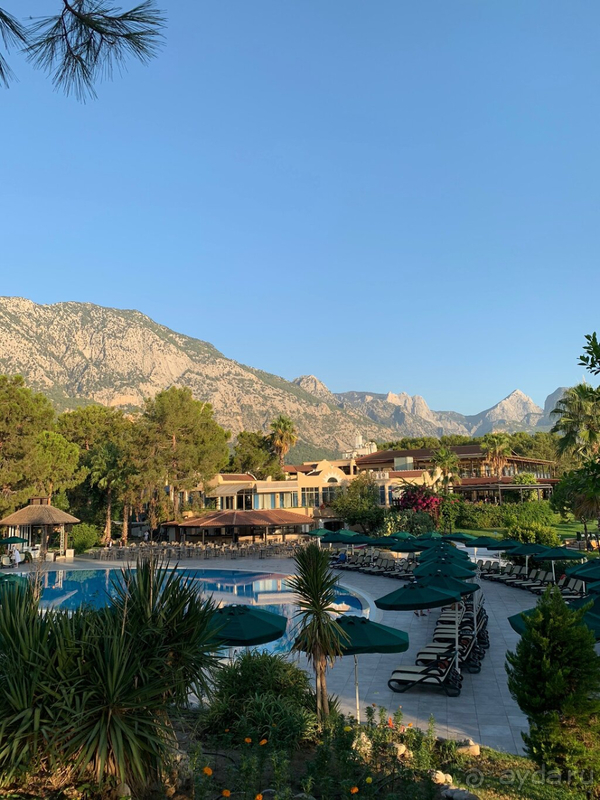 фото Gypsophila Club Marine