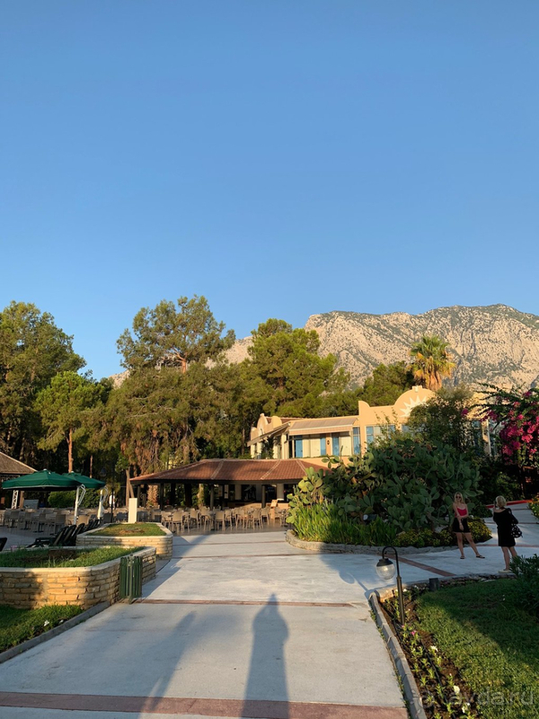 фото Gypsophila Club Marine