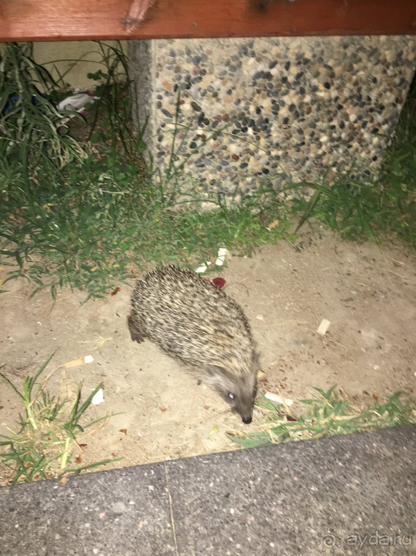 Все очень понравилось !