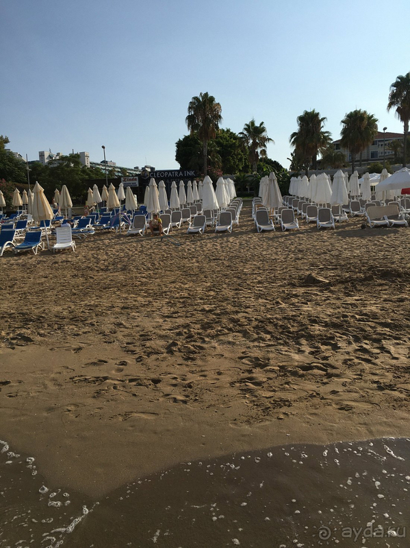 Все очень понравилось !