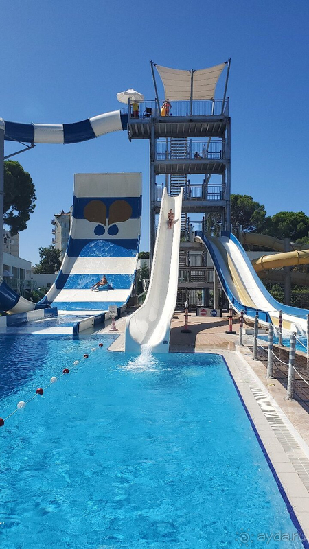 Отдых август 2020 