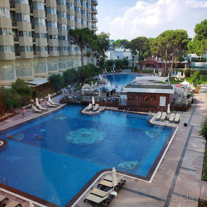 Отдых август 2020 