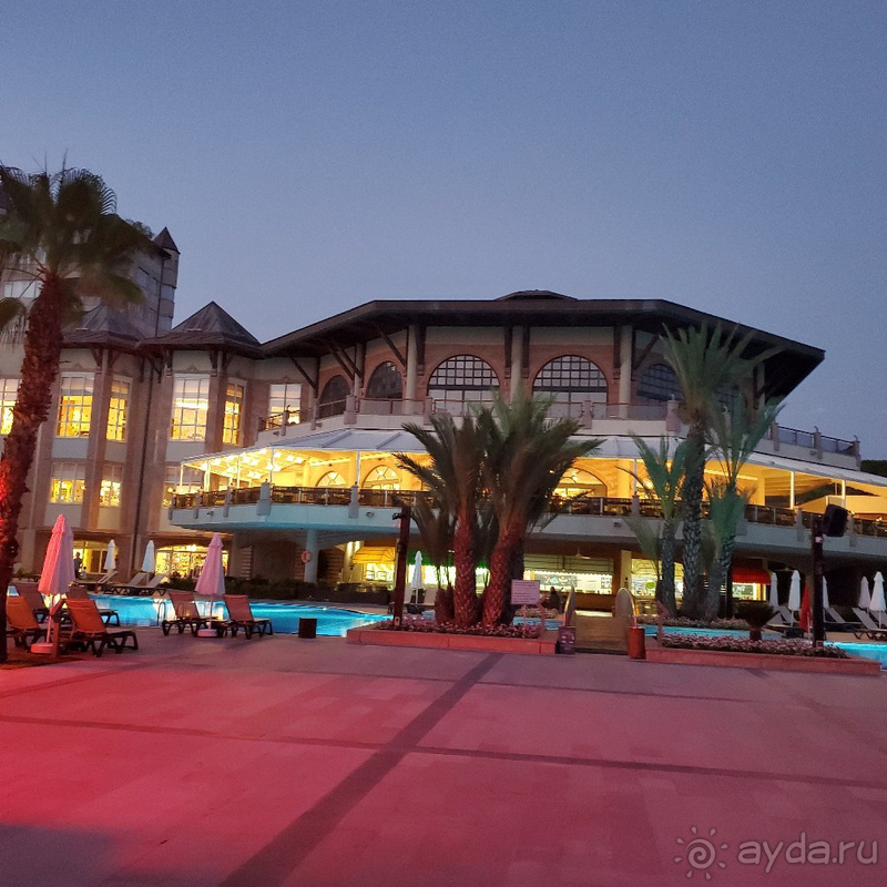 Отдых август 2020 