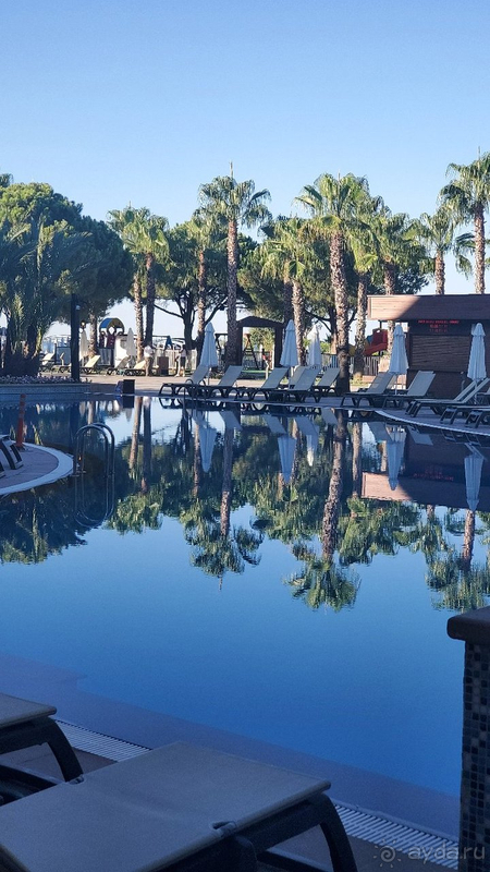 Отдых август 2020 