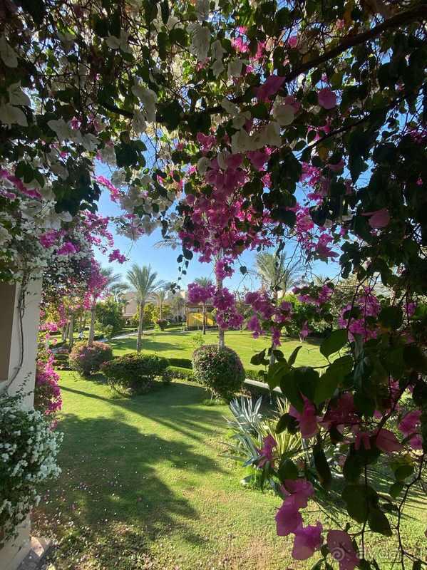 Как всегда отдых прошел великолепно