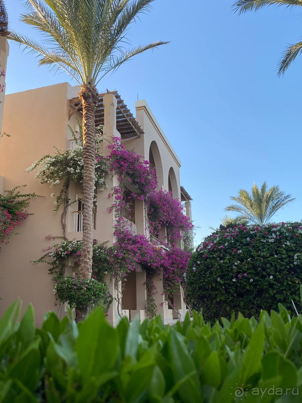 Как всегда отдых прошел великолепно