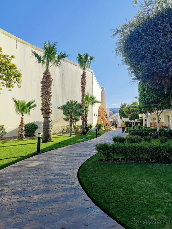 Отдых в Шарм-эль-Шейх