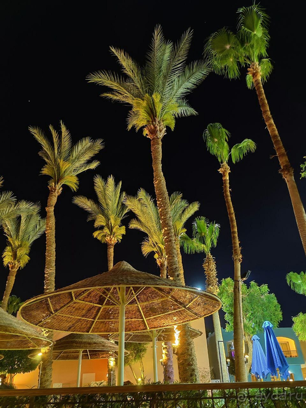 Отдых в Шарм-эль-Шейх