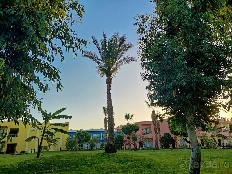 Отдых в Шарм-эль-Шейх