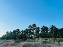 Семейный отель