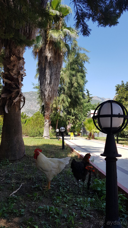 Вернусь сюда ещё? Однозначно нет