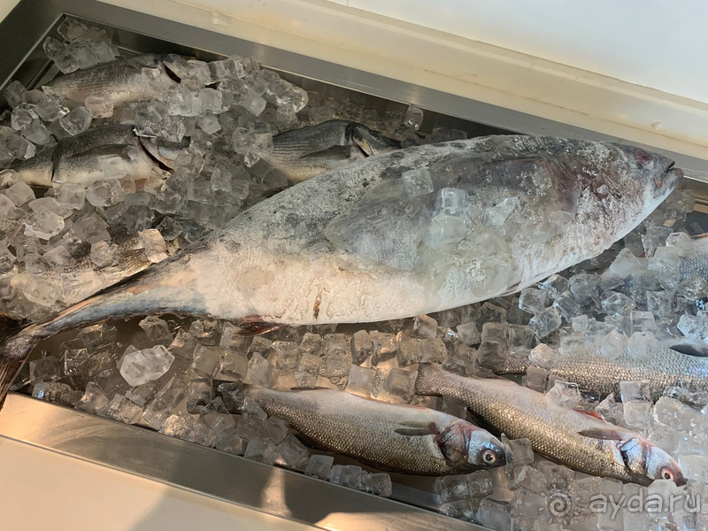 Отличный отдых!!!! Отель рекомендую 👍 Отличный отдых!!!! Отель рекомендую 👍