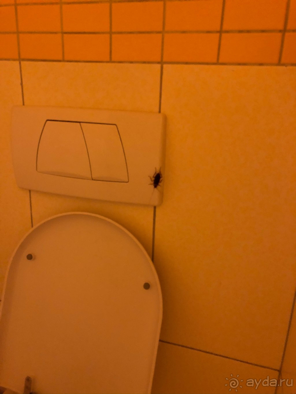 ХУЖЕ ОТЕЛЯ Я ЕЩЁ НЕ ВИДЕЛА