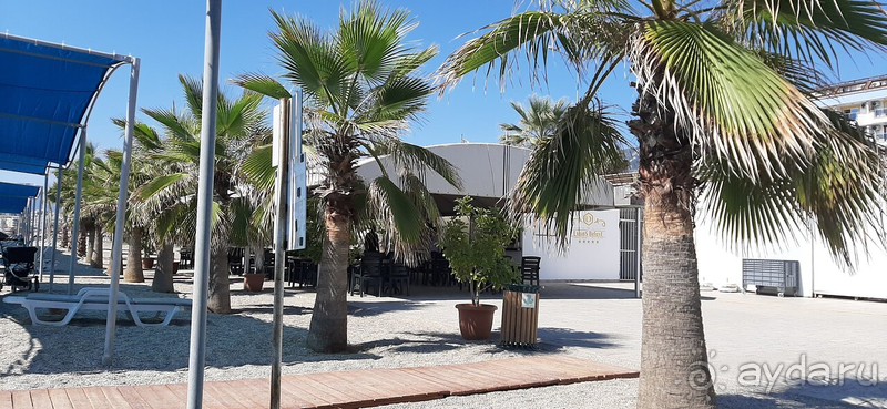 Легкое разочарование