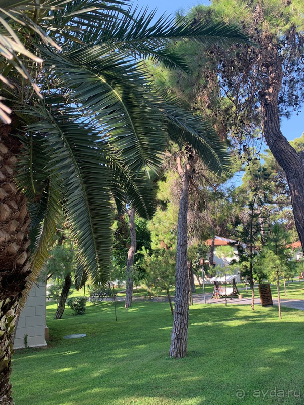 Восторг!!! Незабываемый отель!!!