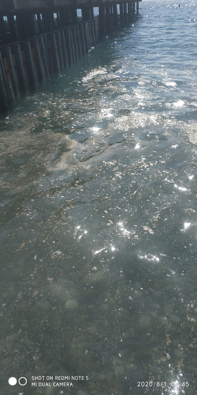 Скромный отдых