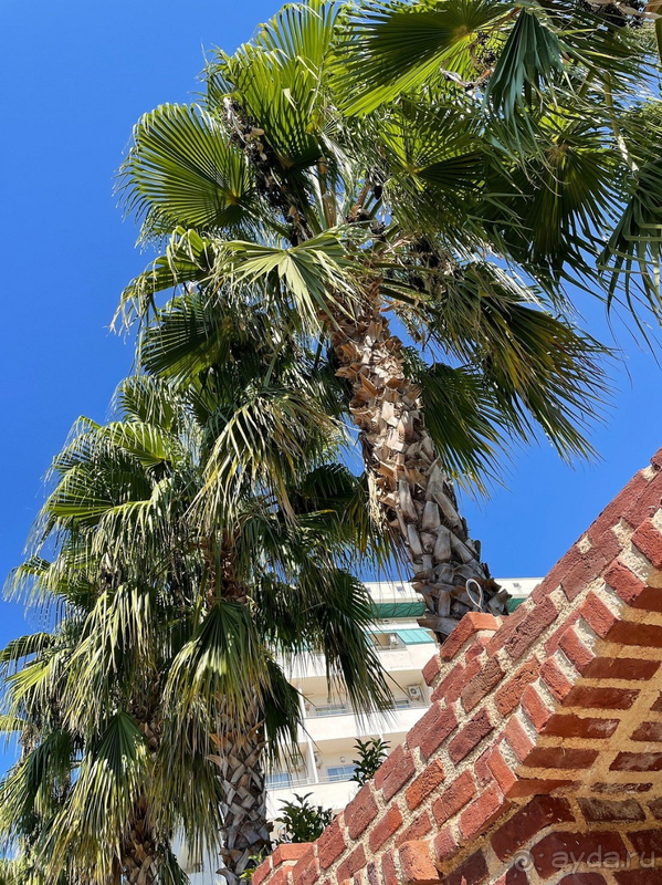 Отель рекомендую