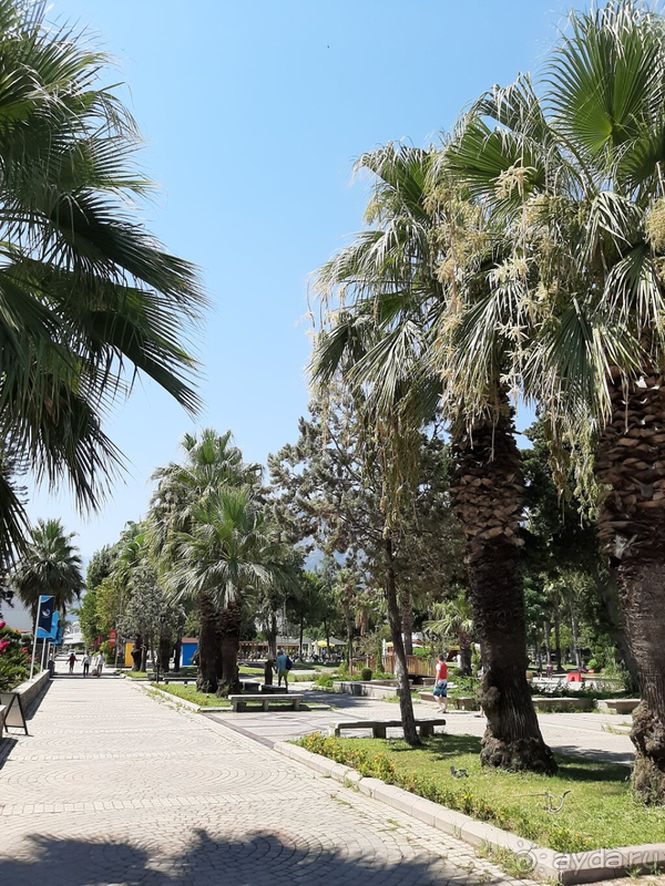 фото Meder Resort