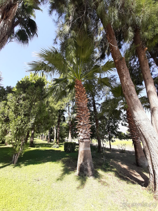 Супер отдых! Рекомендую однозначно Супер отдых! Рекомендую однозначно