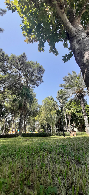 Супер отдых! Рекомендую однозначно