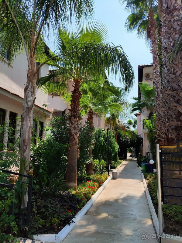 Свадебное путешествие в Турцию