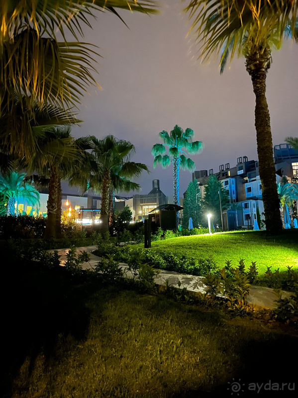 Абсолютно всё понравилось